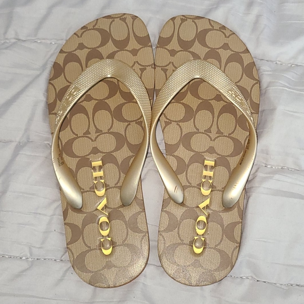 COACH & HAVAIANAS Flip Flops bundle